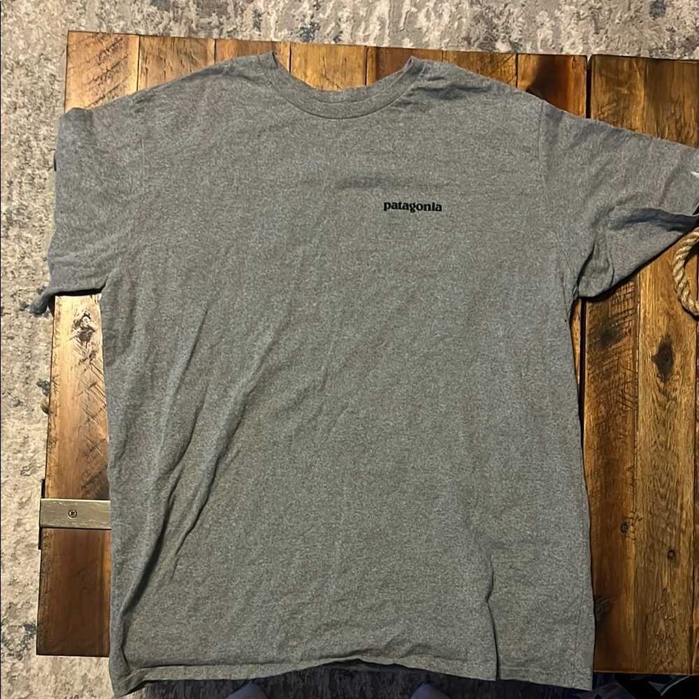 Patagonia Men's Heather Gray Short Sleeve Tee